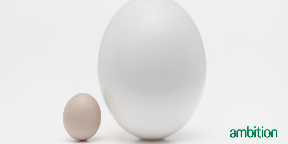Small egg next to large egg representing a big difference 
