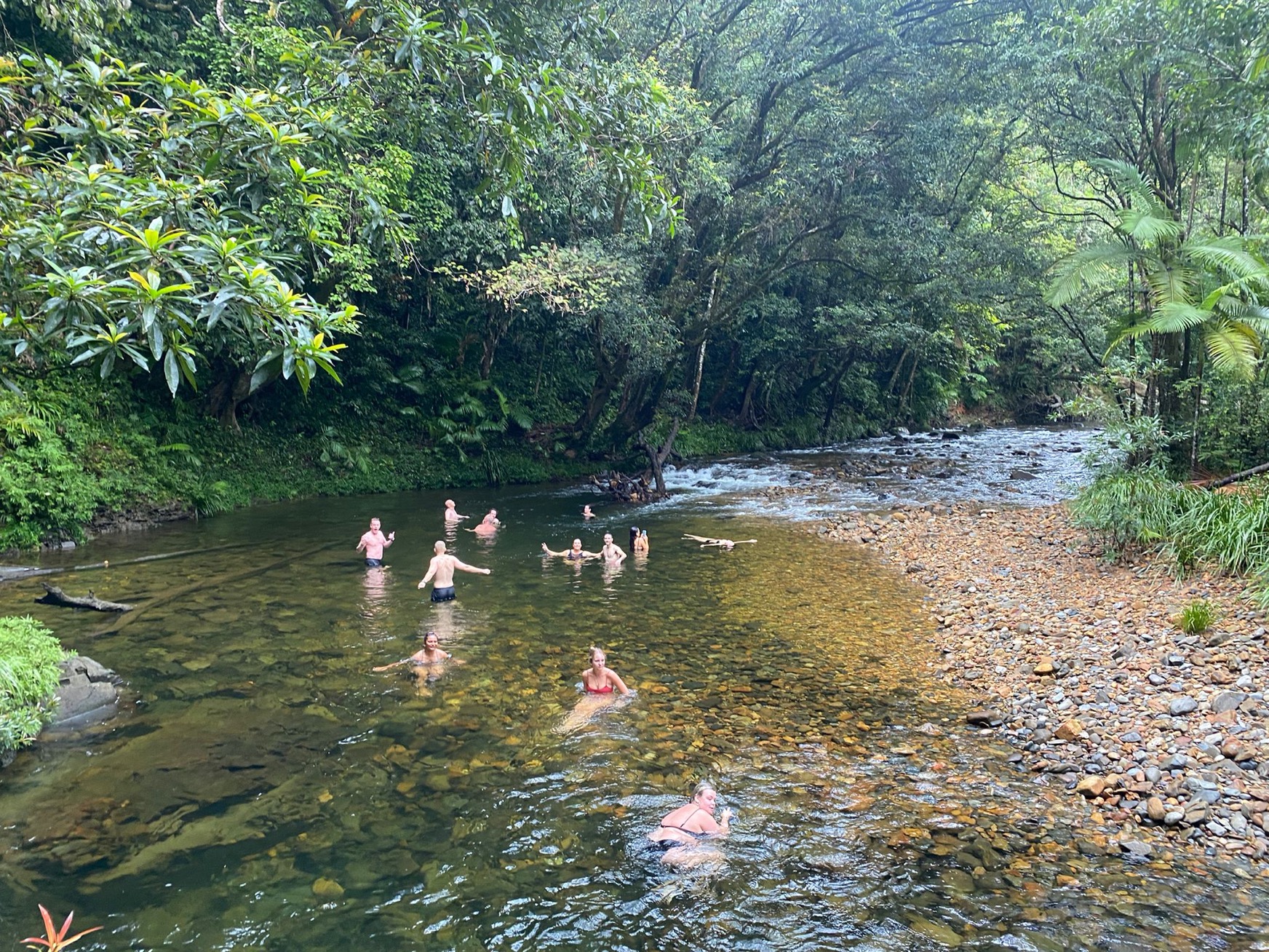 Team swim in a river